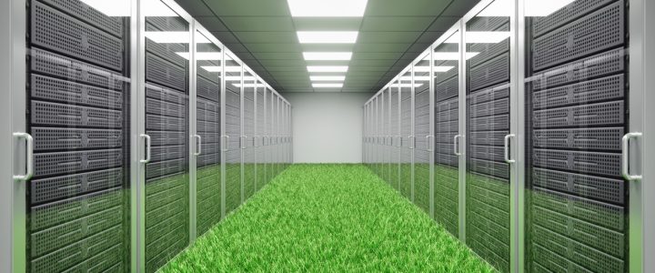 Server room with grass. Clean energy concept.